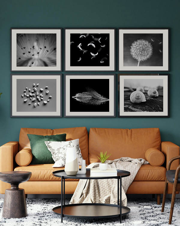 6-set-wall-photogaphy